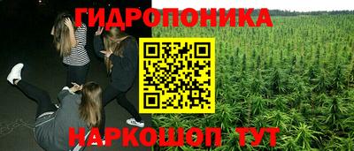 каннабис Гусиноозёрск