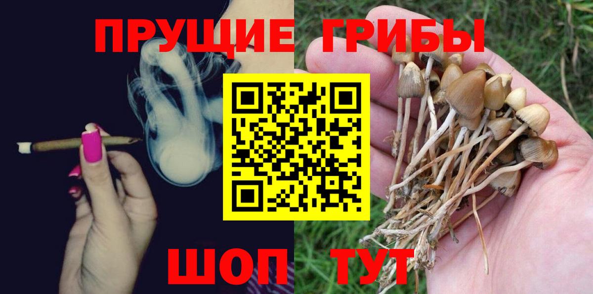 Чебоксары  Галлюциногенные грибы MAGIC MUSHROOMS  Вход с VPN  Галлюциногенные грибы MAGIC MUSHROOMS 