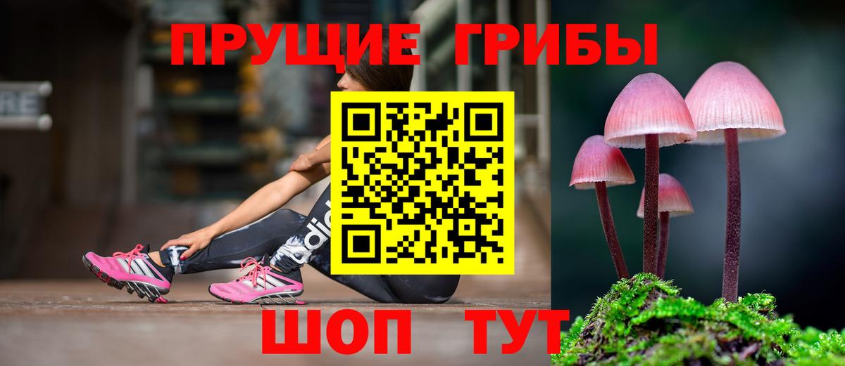 Псилоцибиновые грибы Psilocybine cubensis Чебоксары
